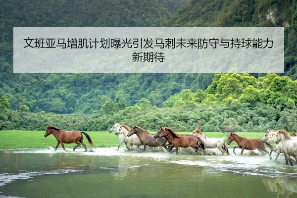 文班亚马增肌计划曝光引发马刺未来防守与持球能力新期待