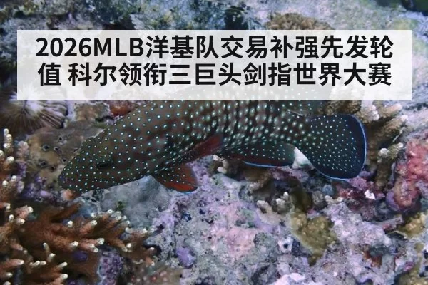 2026MLB洋基队交易补强先发轮值 科尔领衔三巨头剑指世界大赛