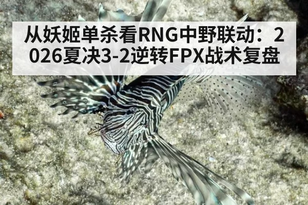从妖姬单杀看RNG中野联动：2026夏决3-2逆转FPX战术复盘