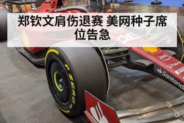 郑钦文肩伤退赛 美网种子席位告急