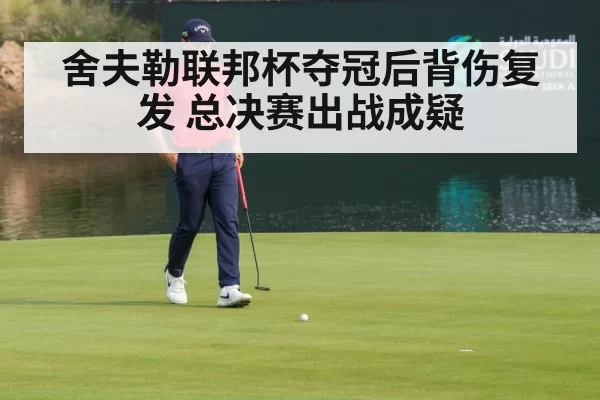 舍夫勒联邦杯夺冠后背伤复发 总决赛出战成疑